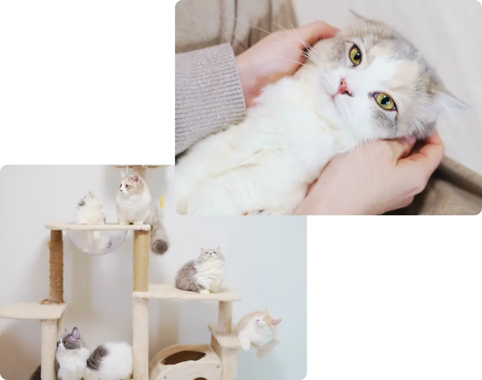 人とのふれあいで社会性を育む様子