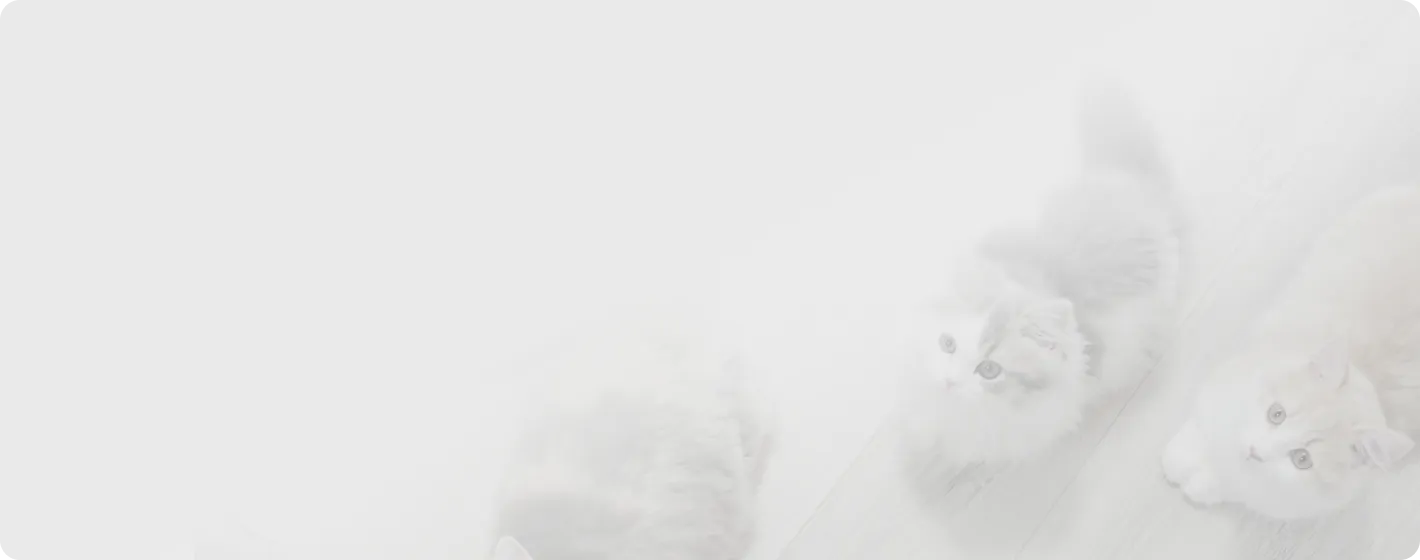 お問い合わせのメインビジュアル