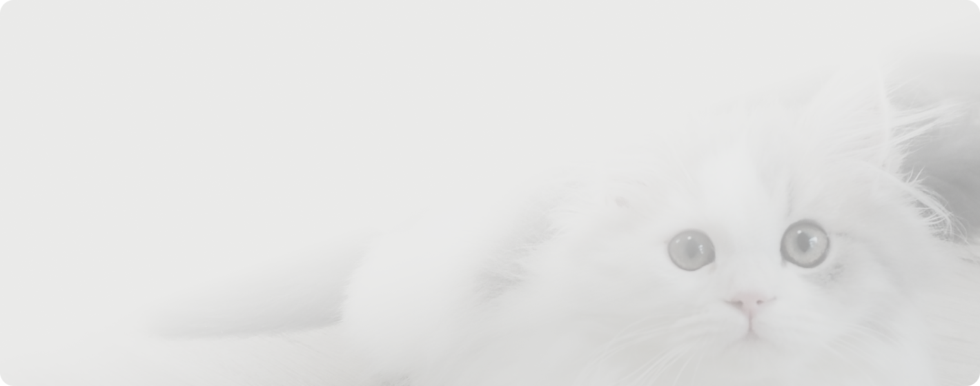 ご購入についてのメインビジュアル